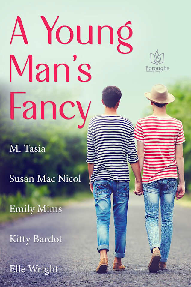 Book cover of A Young Man's Fancy by Susan Mac Nicol
